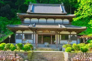  Saisho-ji Temple in spring