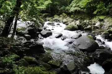 The river looks so inviting