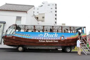 Sky Duck