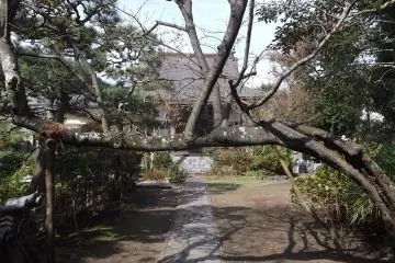 The view in from the gate