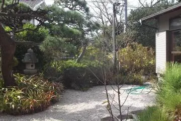 In the temple grounds