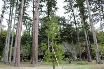 Gallery image