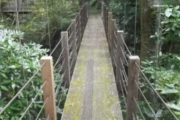 Near the western end of the trail