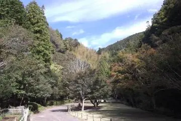 The trail starts at the end there