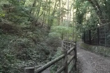 Straight away the air feels different