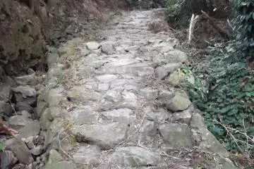 The start of the walk was quite steep