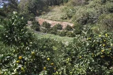 Some nice scenery on the way up