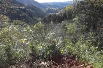 The view from one side of the summit
