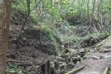 Near the western end of the trail
