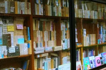 Gallery image