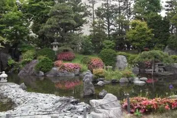 <p>The pond in the garden</p>