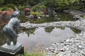 <p>A rear view of the pond and garden</p>