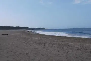 <p>It's a long, long beach</p>