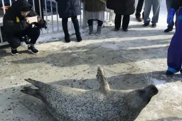 Ta-da!