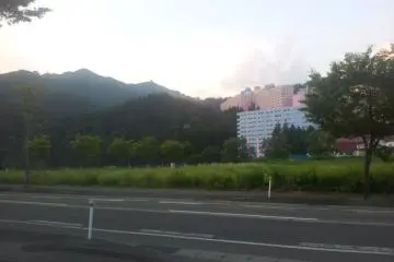 <p>รอบล้อมด้วยแมกไม้</p>