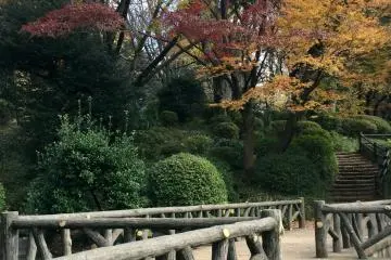 A variety of footpaths and decks 
