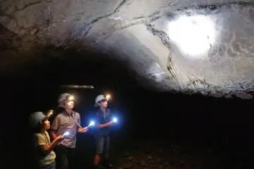 Untuk ukuran batu berusia 300 juta tahun, wujudnya tidaklah jelek!