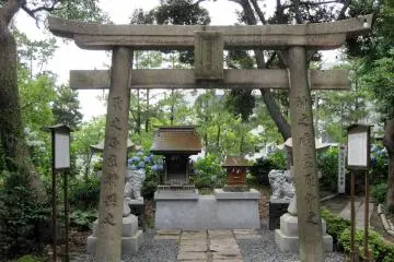 One of the many torii you will find.