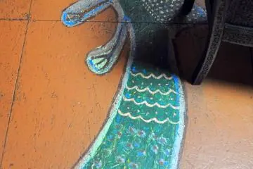 A painted peacock