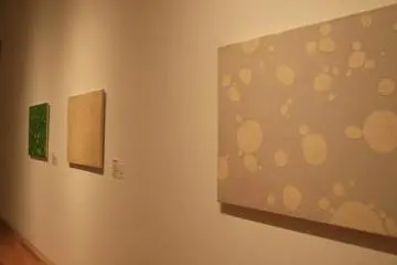Museum Collection
