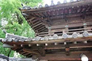 <p>이중으로 되어있는 지붕이 4월의 비를 맞이하고 있다.</p>