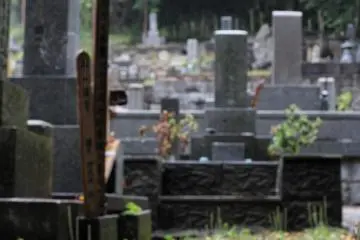 <p>절 뒤에는 큰 묘지가 있다. 봄철 자두들이 묘지 바닥에 가득 떨어져 있다.</p>