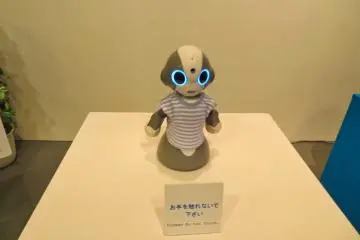 One of many Robot exhibits at TEPIA