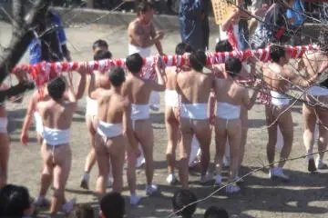 Naked men carrying the various portable shrines around Konomiya