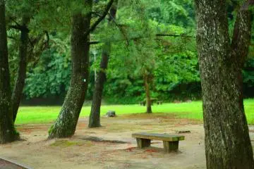 There are plenty of empty benches even on a sunny day