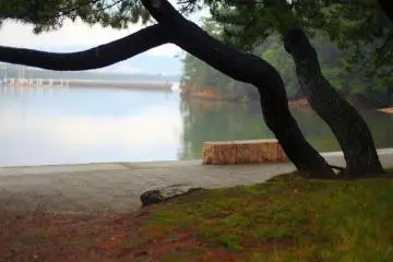 The perfect spot to read a book in the shade