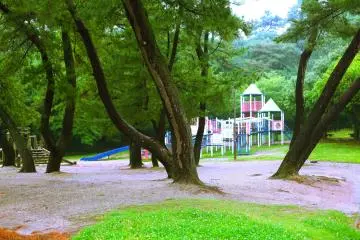 A jungle gym for the kids