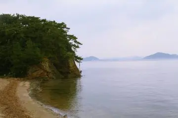 Beach meets woodland; a rare sight