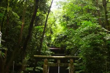 Odo Daijingu Shrine - hauntingly beautiful