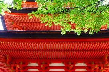 The vibrant vermillion color of the pagoda make the trees around appear to be even more green