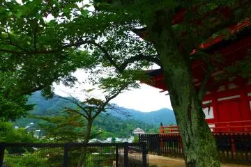 The pagoda is positioned on a hill and makes for an excellent viewing point over Miyajima