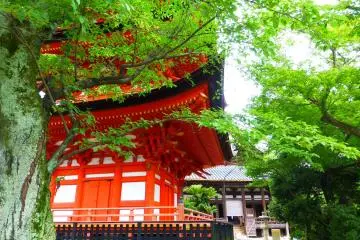 The Five Story Pagoda with the Senjyokaku "Hall of 1000 Tatami Mats" in the background