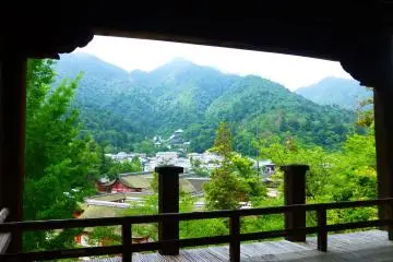 The natural beauty which surrounds Senjokaku almost makes it appear as if you're looking out into a painting