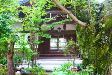 Peering through the trees to find more beautiful buildings around the temple