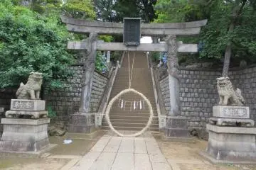 Gallery image
