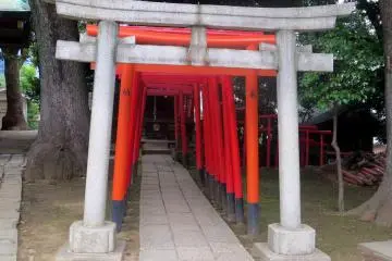 Torii leading to the Ana Inari Shrine