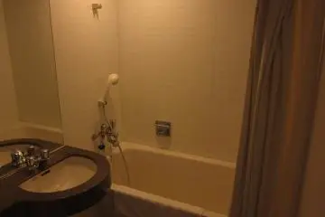 Toilet with Bathtub (Ofuro)