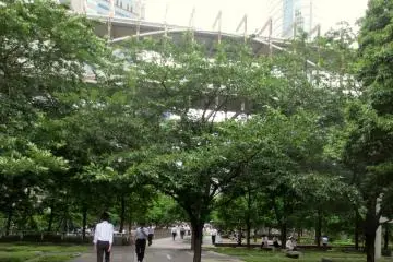 Enjoy the greenery in the middle of the city