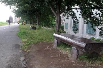 Several places to rest along the trail