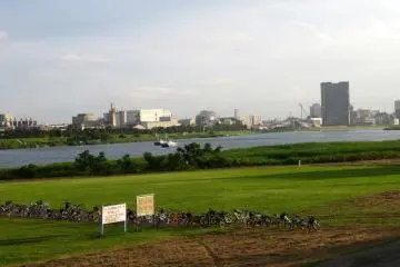 Another view of the side of the trail by the river