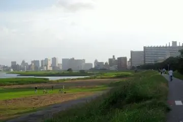 Sunset by Tama River 50K