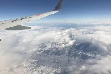 JAL Domestic Flights