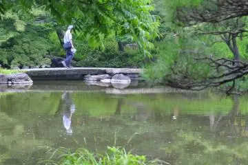 Appealing footbridges connect one side of the pond to the other