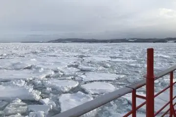Definitely looks more like the Arctic Circle than what I'd have expected to see in Japan!