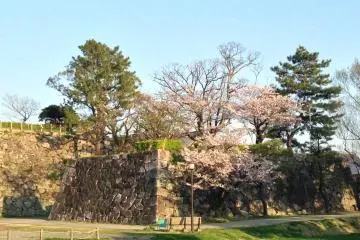 Wall at Saga Castle