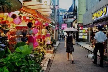 <p>Plantas decorativas est&aacute;n por toda la calle</p>